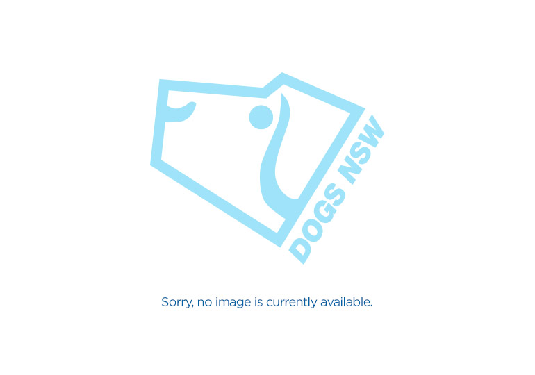 636733316686723435_a2f8f5e5-17e0-4635-b934-6252ad4cba13.jpg